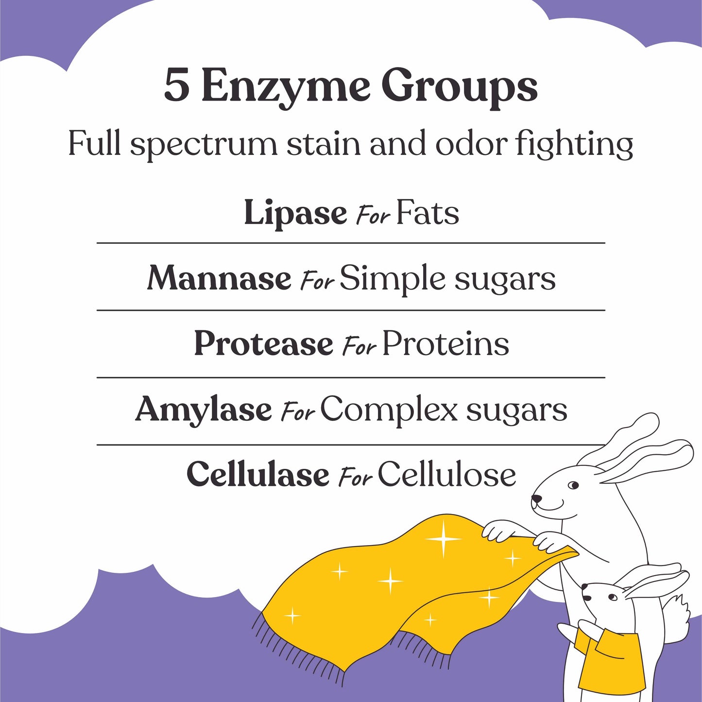 An informational graphic titled '5 Enzyme Groups' on a white cloud-shaped background with a purple border. The text lists Lipase for fats, Mannase for simple sugars, Protease for proteins, Amylase for complex sugars, and Cellulase for cellulose.