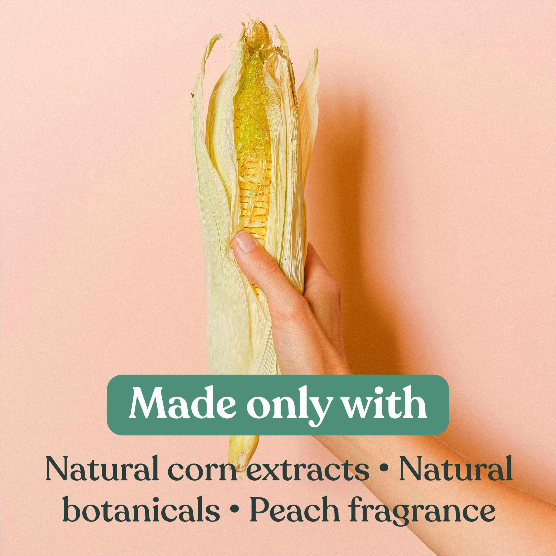Hand holding a corn cob with text about corn based ingredients and peach fragrance on a pink background