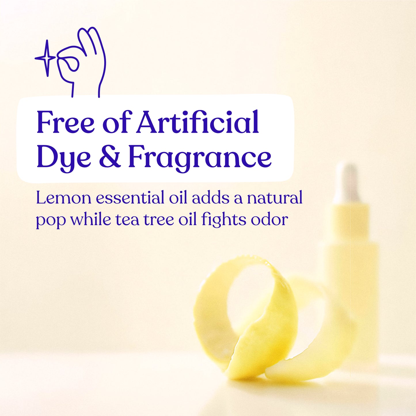 Toilet Cleaning Strips