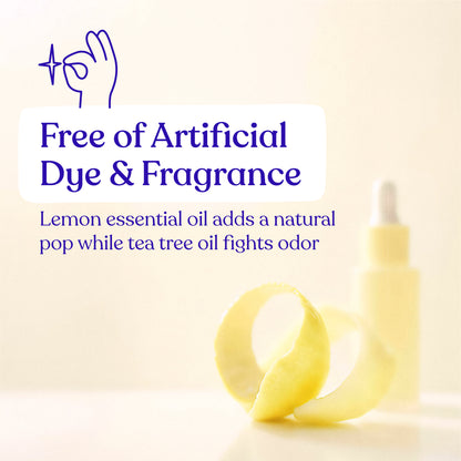 Toilet Cleaning Strips