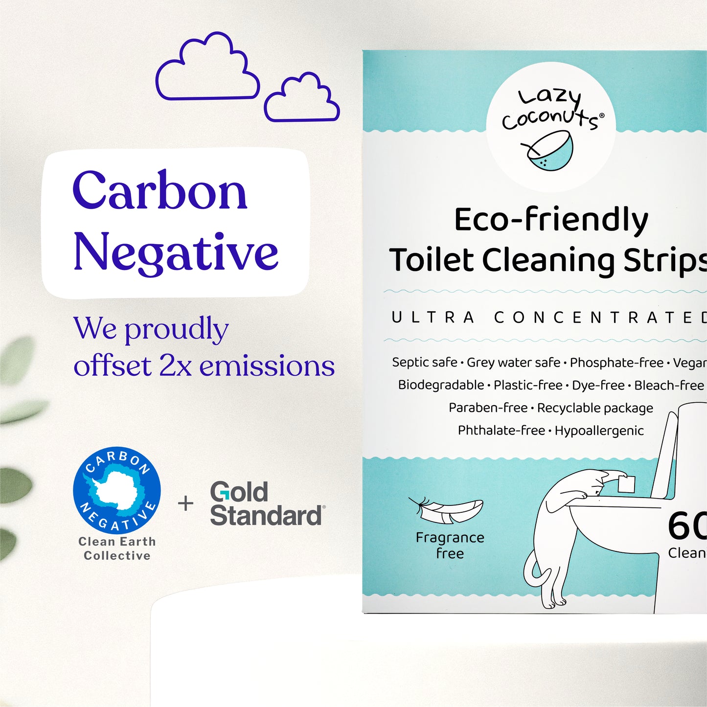Toilet Cleaning Strips